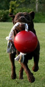 Jolly Ball Romp-n-Roll 10 cm Punainen