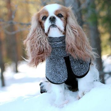 Kivalo Koiran Lämpöpaita Luppo Koko 55cm