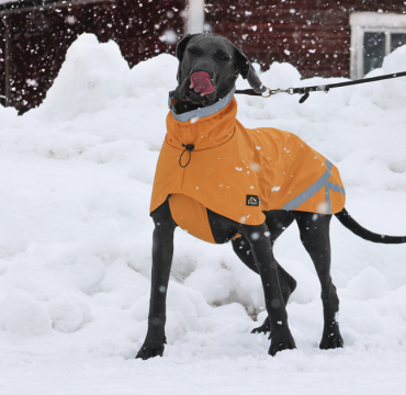 Kivalo koiran sadetakki Niva 60cm Harmaa