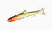 Orka Small Fish 5cm TR2